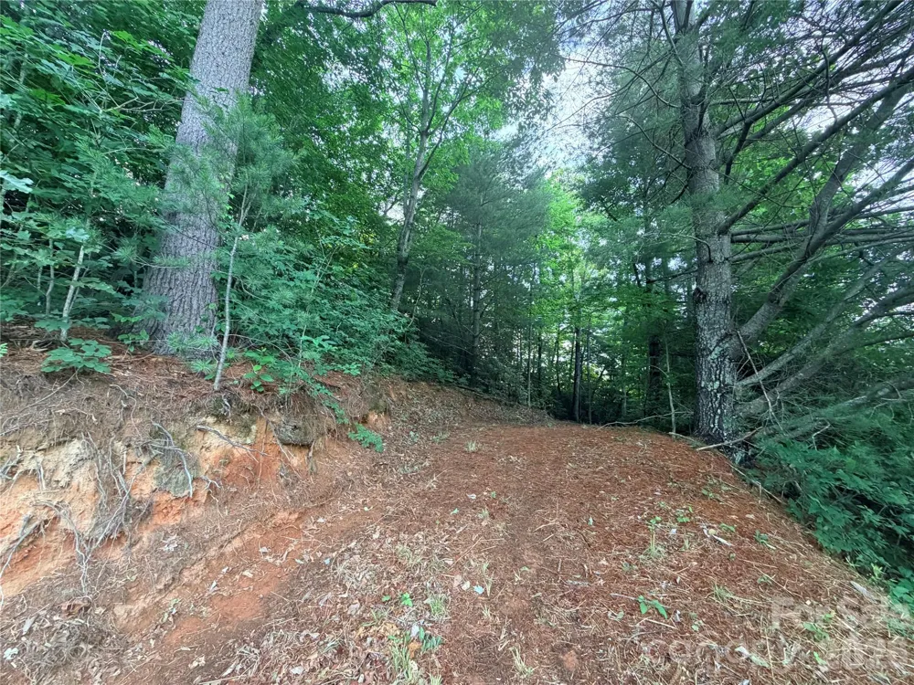 0 Silverglen Way #53 Hendersonville, NC 28792