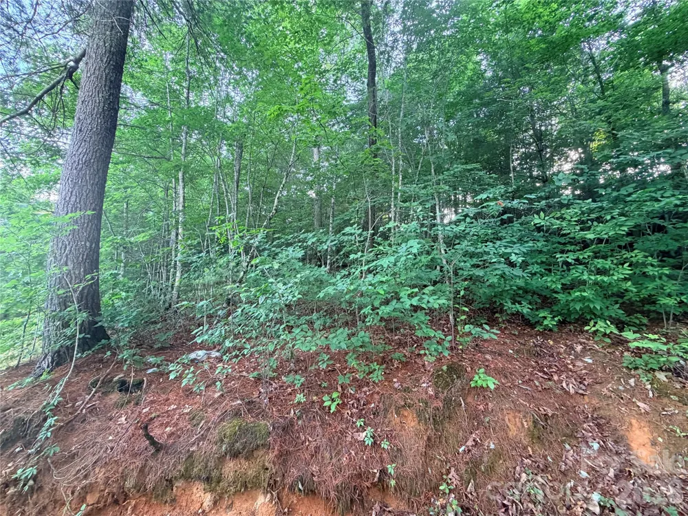 0 Silverglen Way #53 Hendersonville, NC 28792