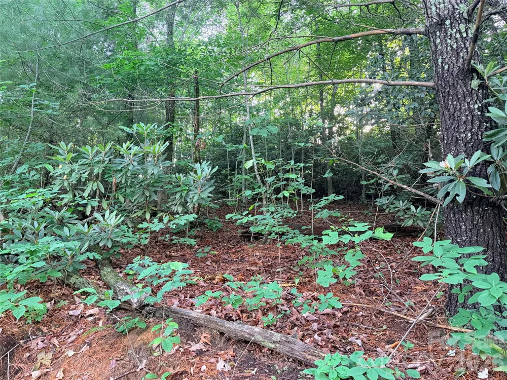 0 Silverglen Way #53 Hendersonville, NC 28792