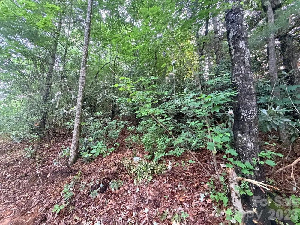 0 Silverglen Way #53 Hendersonville, NC 28792