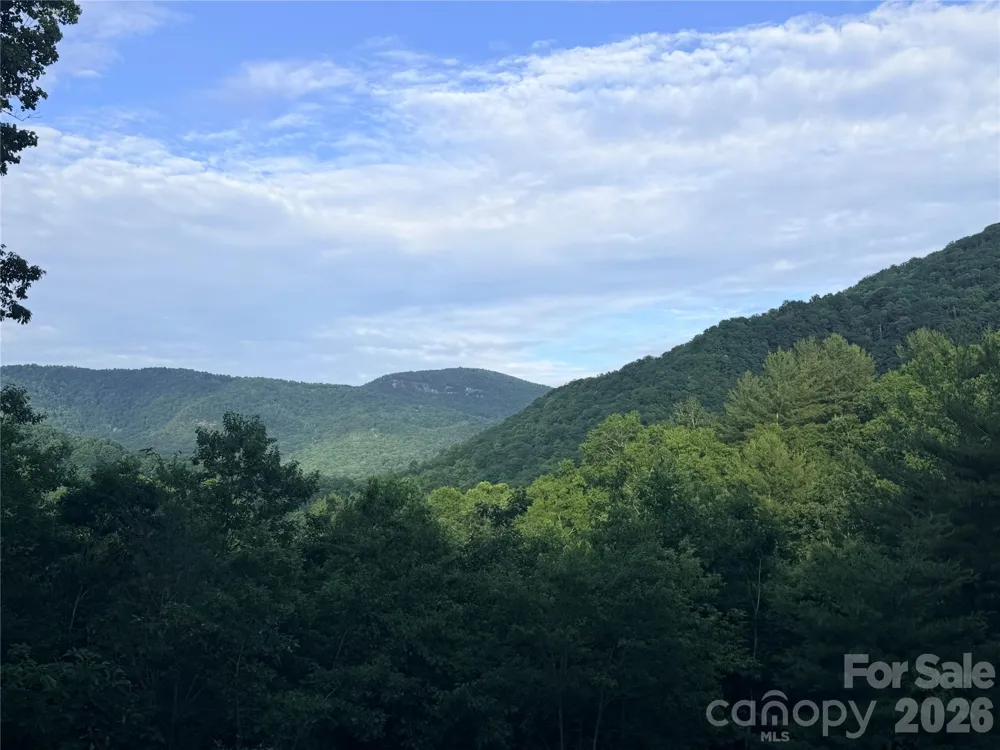 0 Silverglen Way #53 Hendersonville, NC 28792