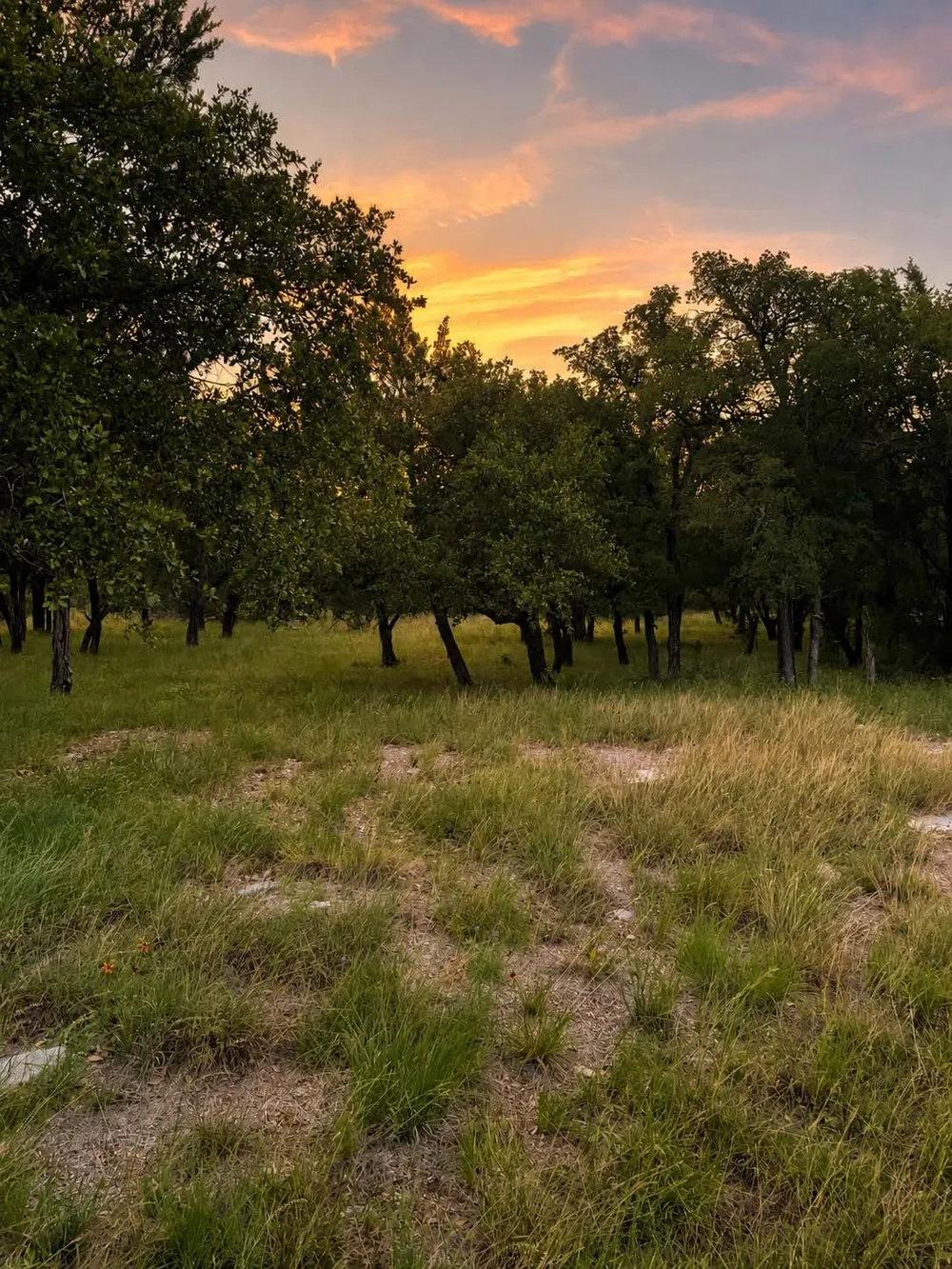 Mountain Dew Horseshoe Bay, TX 78657