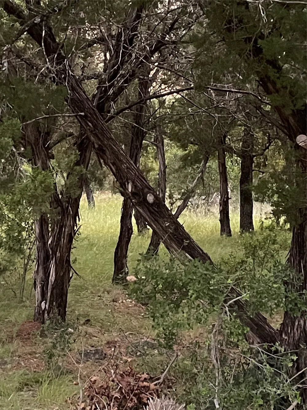 Mountain Dew Horseshoe Bay, TX 78657