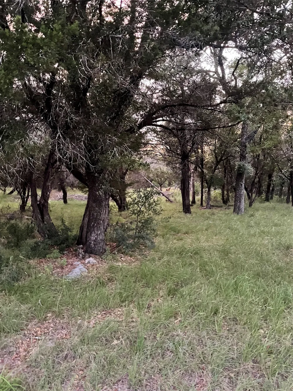 Mountain Dew Horseshoe Bay, TX 78657