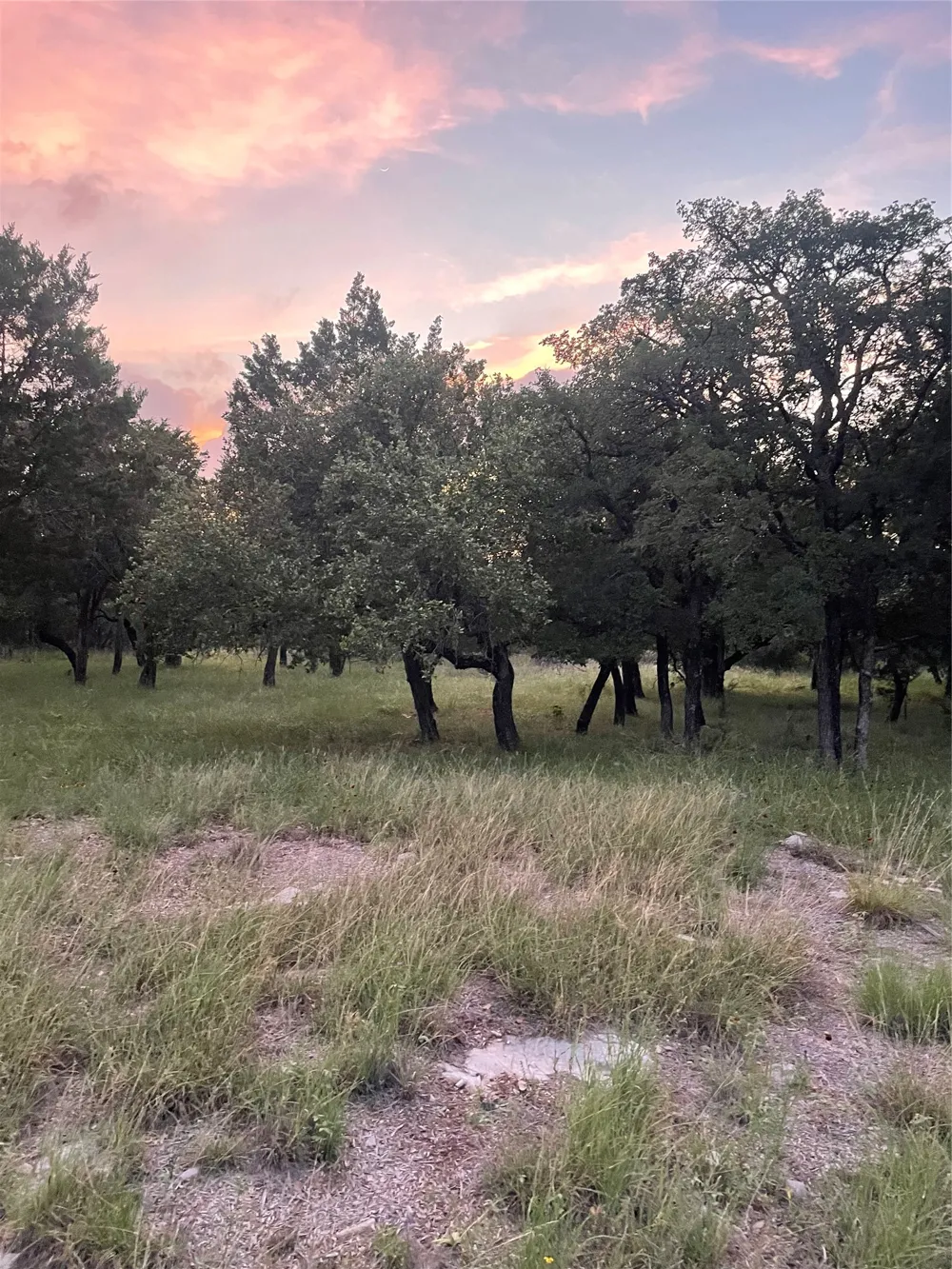 Mountain Dew Horseshoe Bay, TX 78657