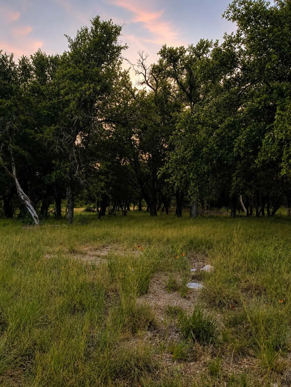 Mountain Dew Horseshoe Bay, TX 78657