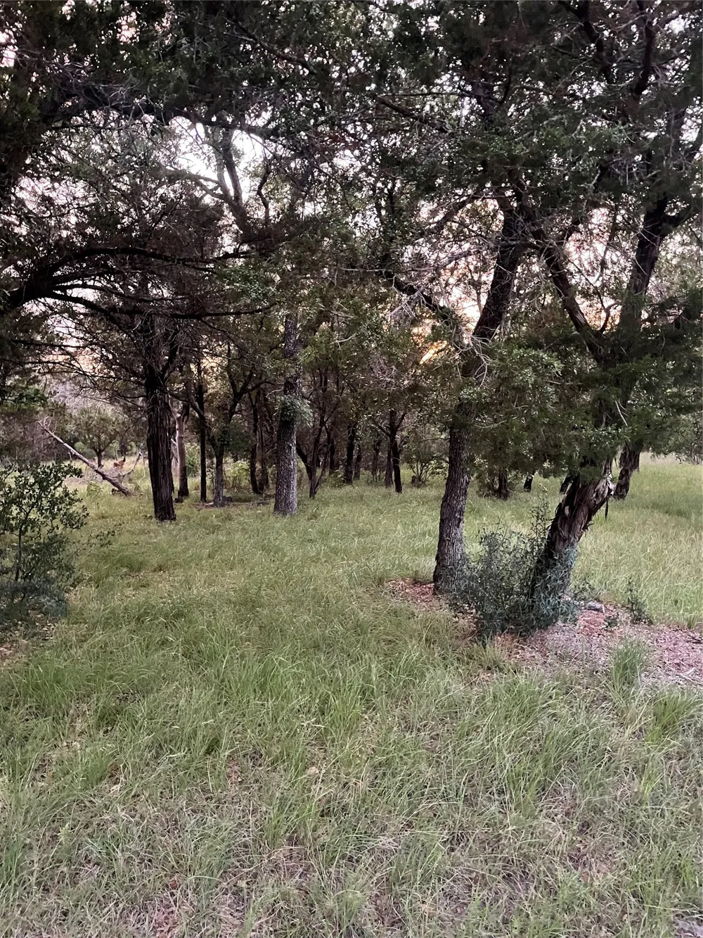 Mountain Dew Horseshoe Bay, TX 78657