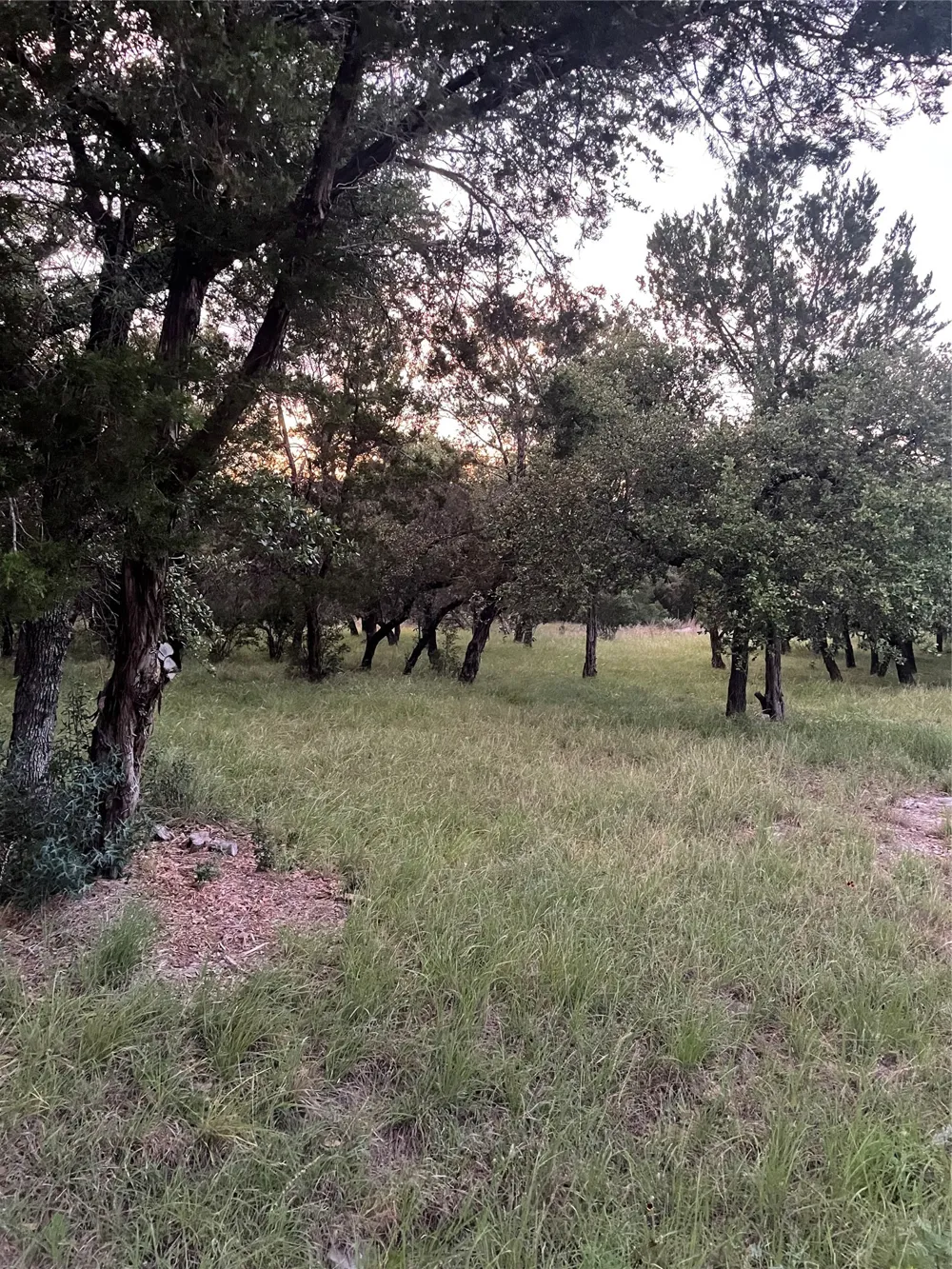 Mountain Dew Horseshoe Bay, TX 78657