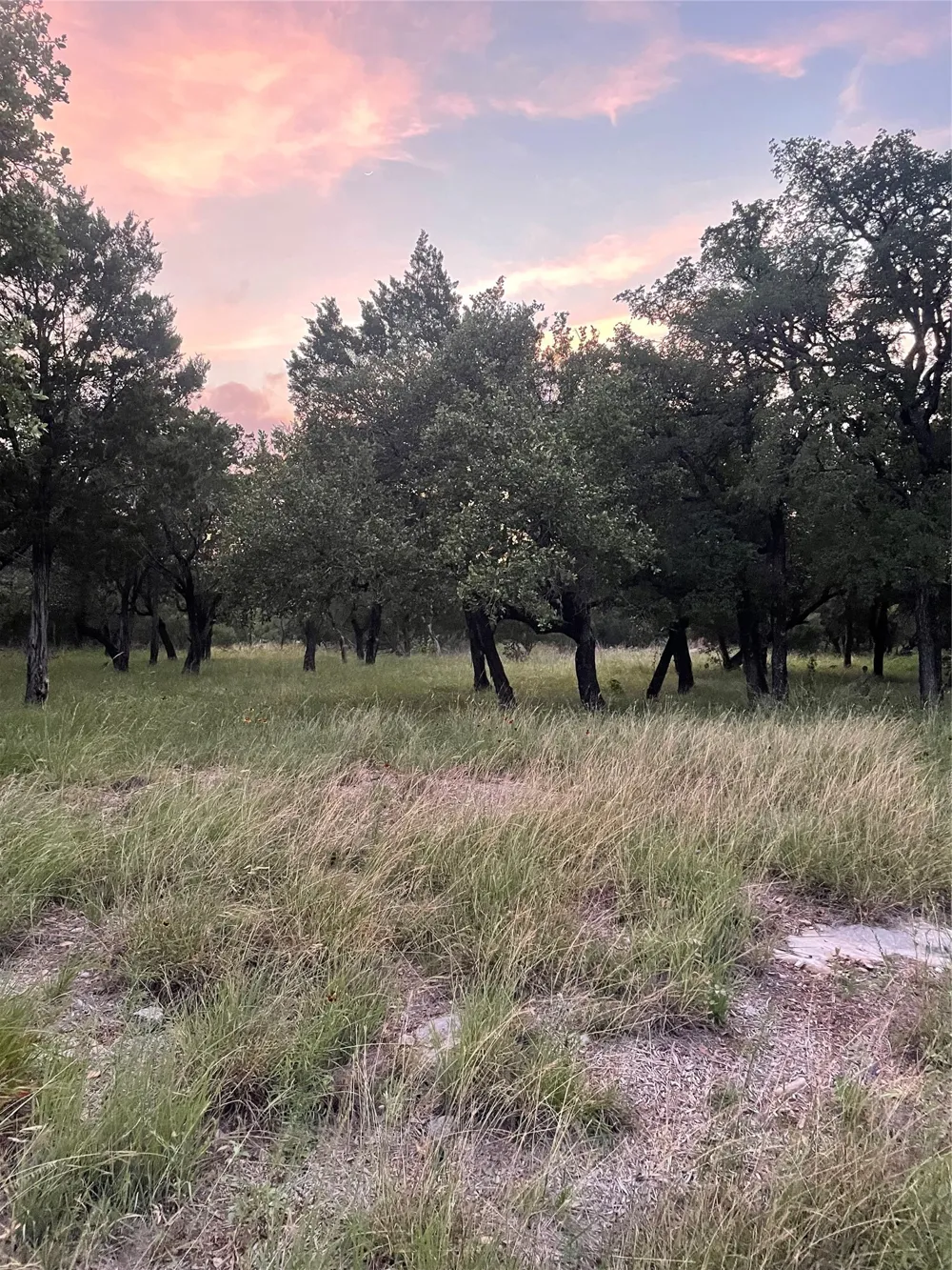 Mountain Dew Horseshoe Bay, TX 78657