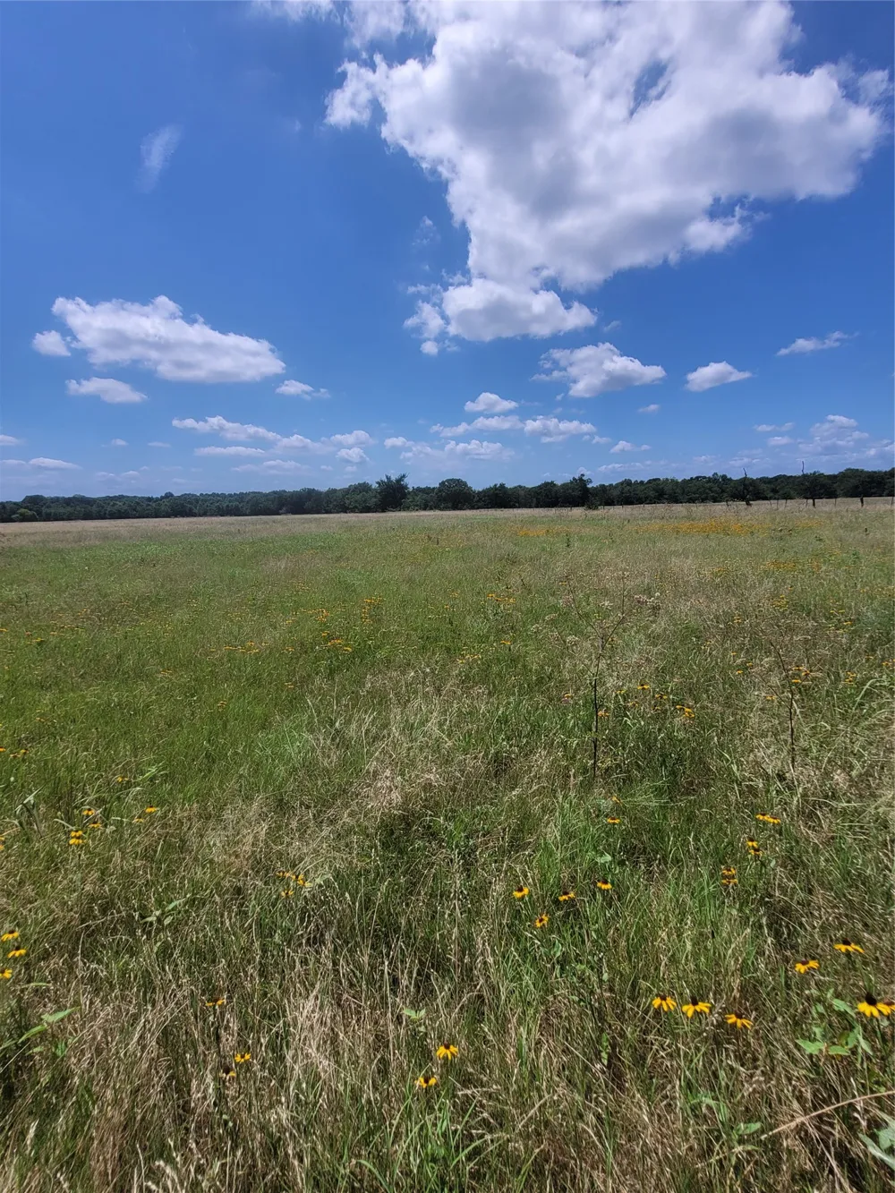 2441 County Road 3512 Dike, TX 75437