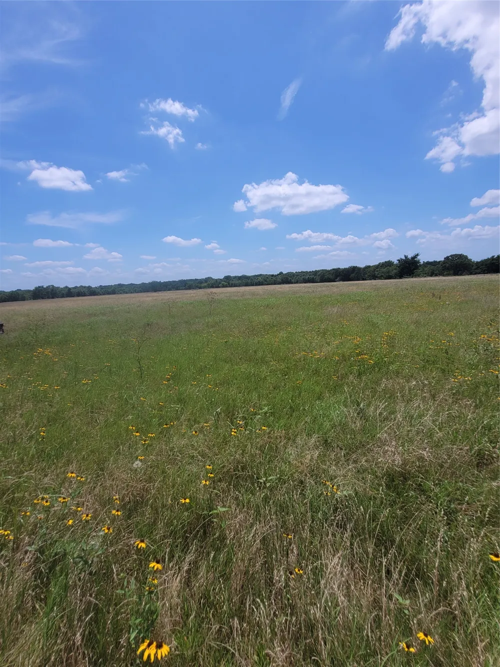 2441 County Road 3512 Dike, TX 75437