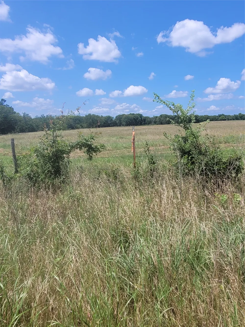 2441 County Road 3512 Dike, TX 75437