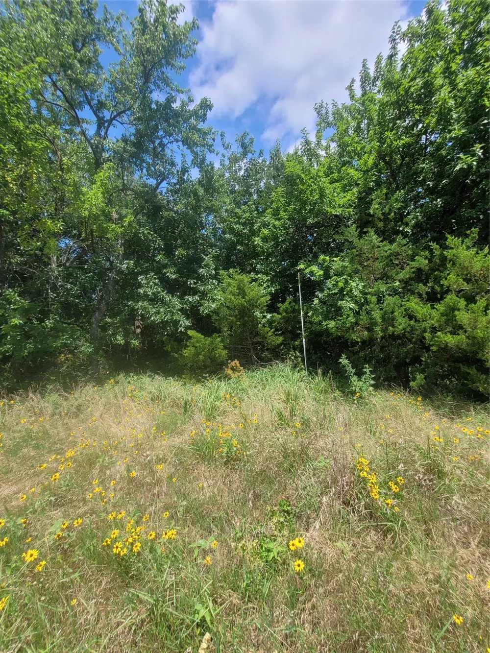 2441 County Road 3512 Dike, TX 75437
