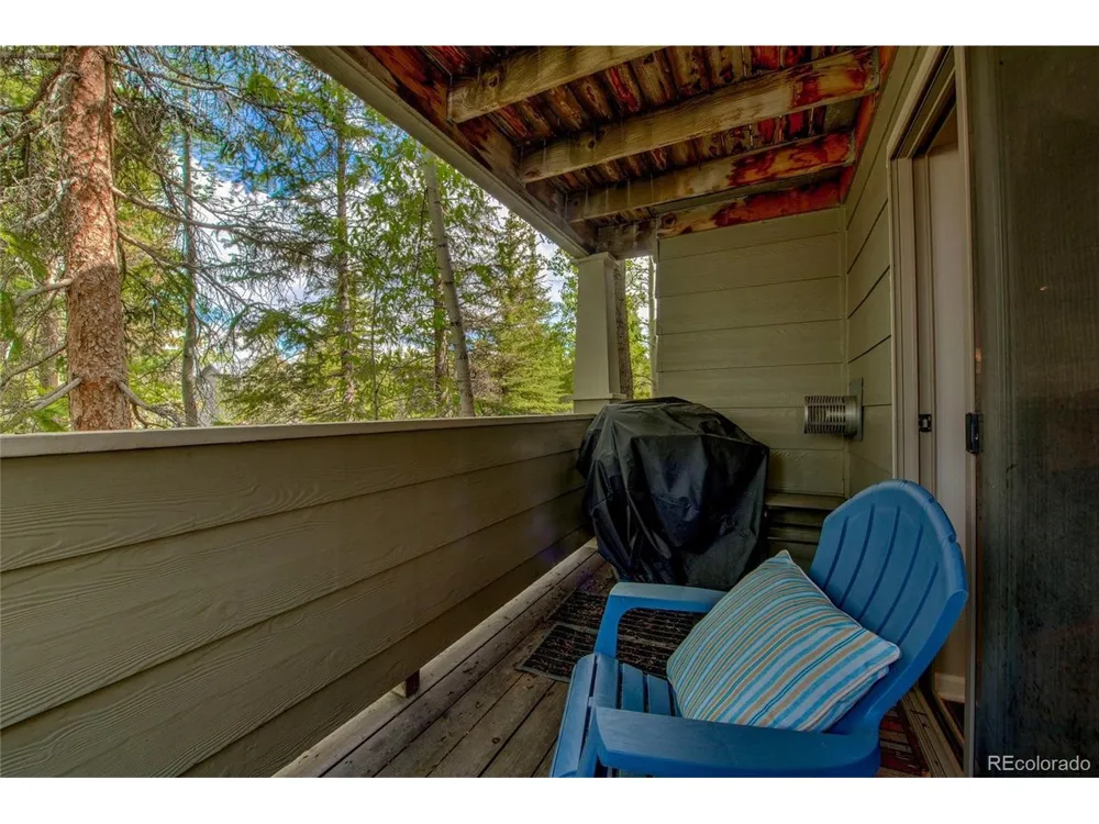 1509 Point Drive #9-103 Frisco, CO 80443