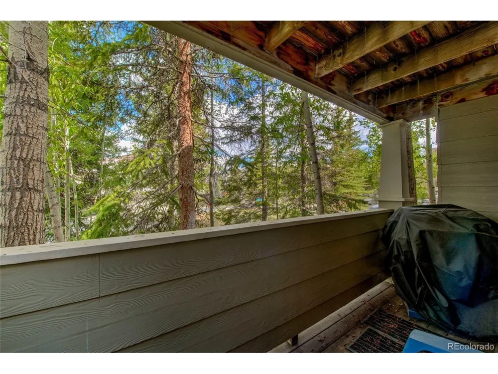 1509 Point Drive #9-103 Frisco, CO 80443