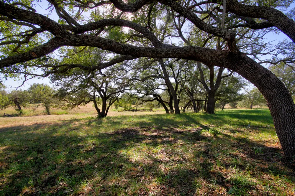 132 Offer Lane Llano, TX 78643
