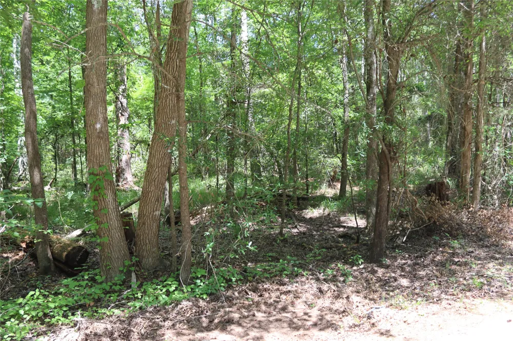 private road 8565 Winnsboro, TX 75494
