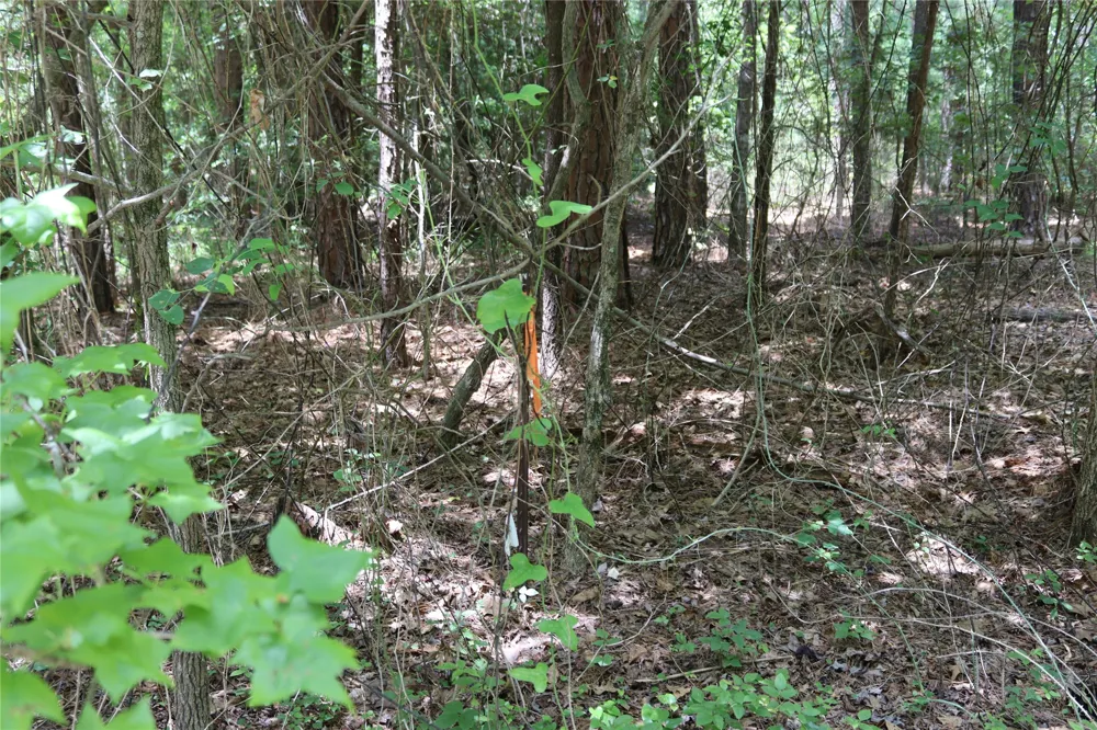 private road 8565 Winnsboro, TX 75494