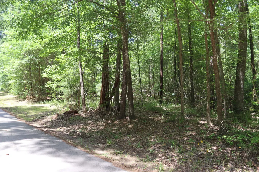 private road 8565 Winnsboro, TX 75494