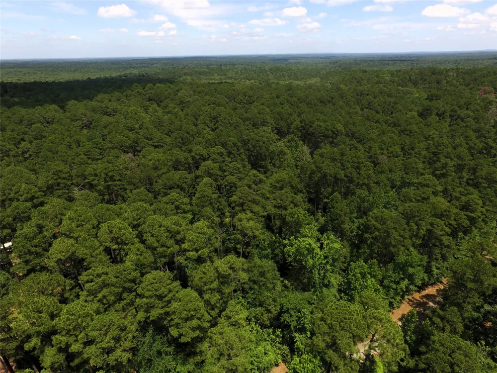 private road 8565 Winnsboro, TX 75494