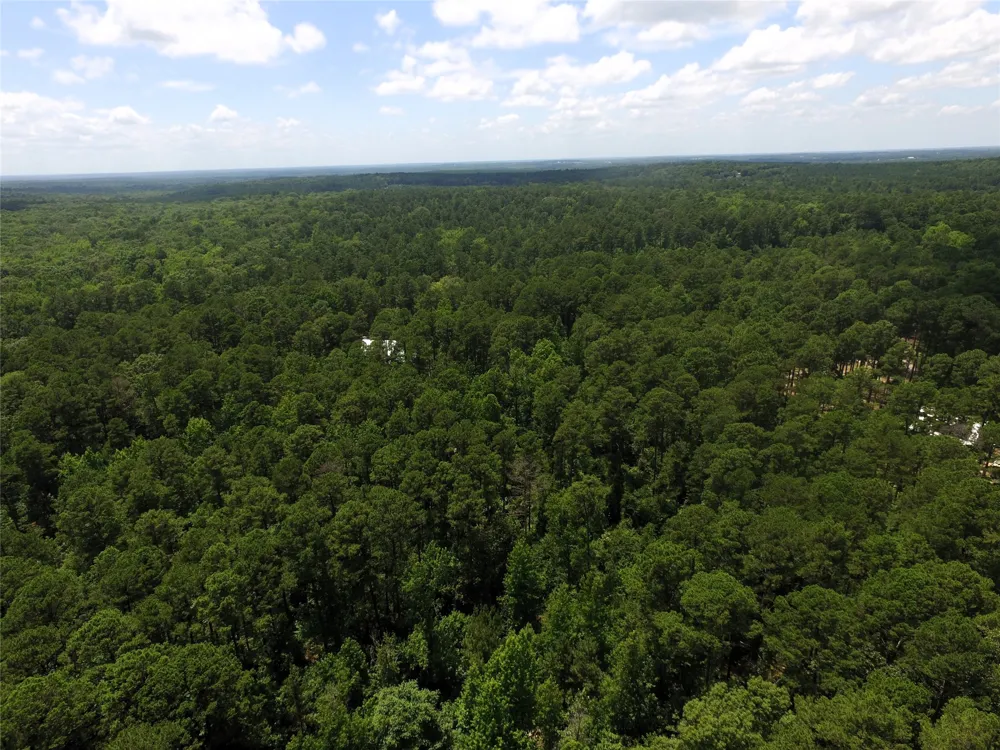 private road 8565 Winnsboro, TX 75494