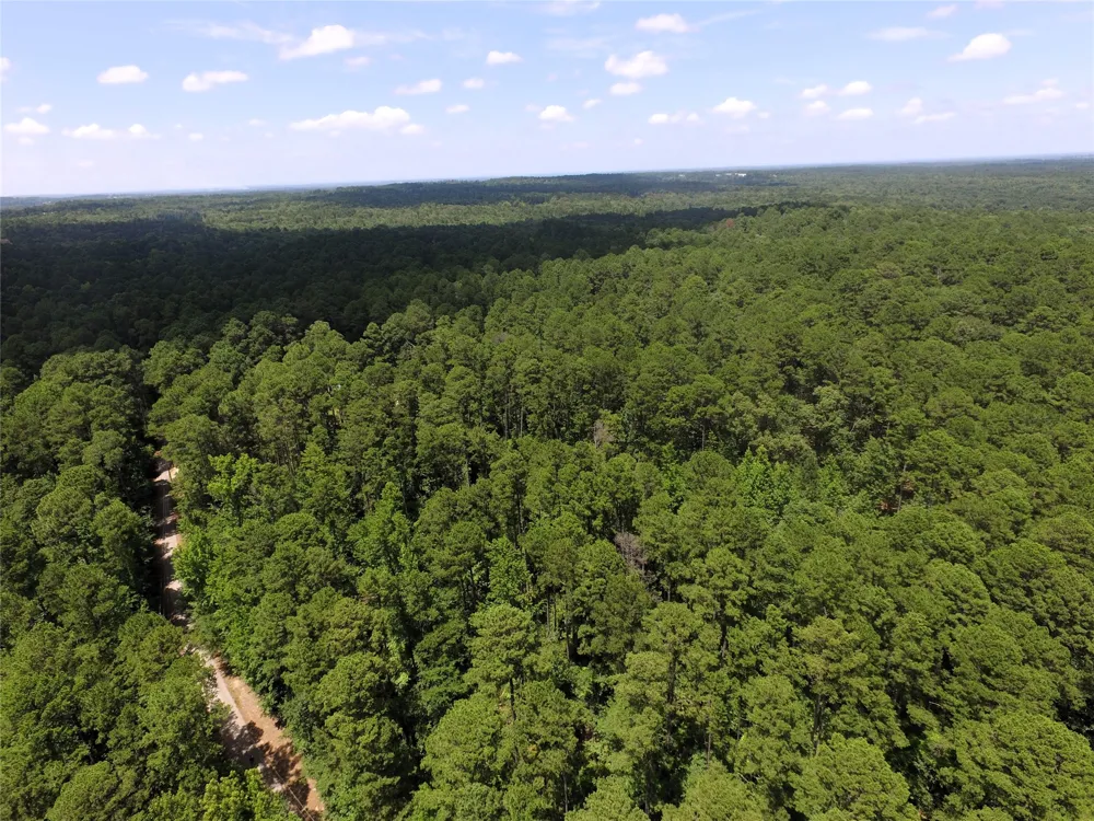 private road 8565 Winnsboro, TX 75494