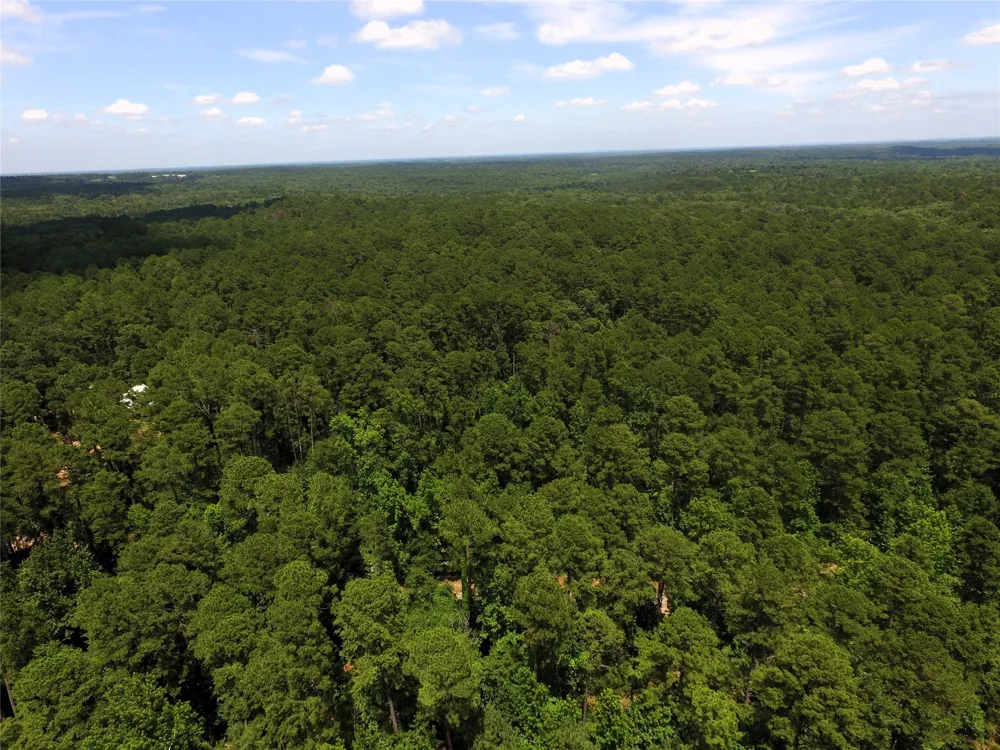private road 8565 Winnsboro, TX 75494