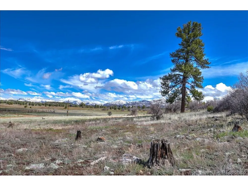 1234 Scenic Avenue Pagosa Springs, CO 81147
