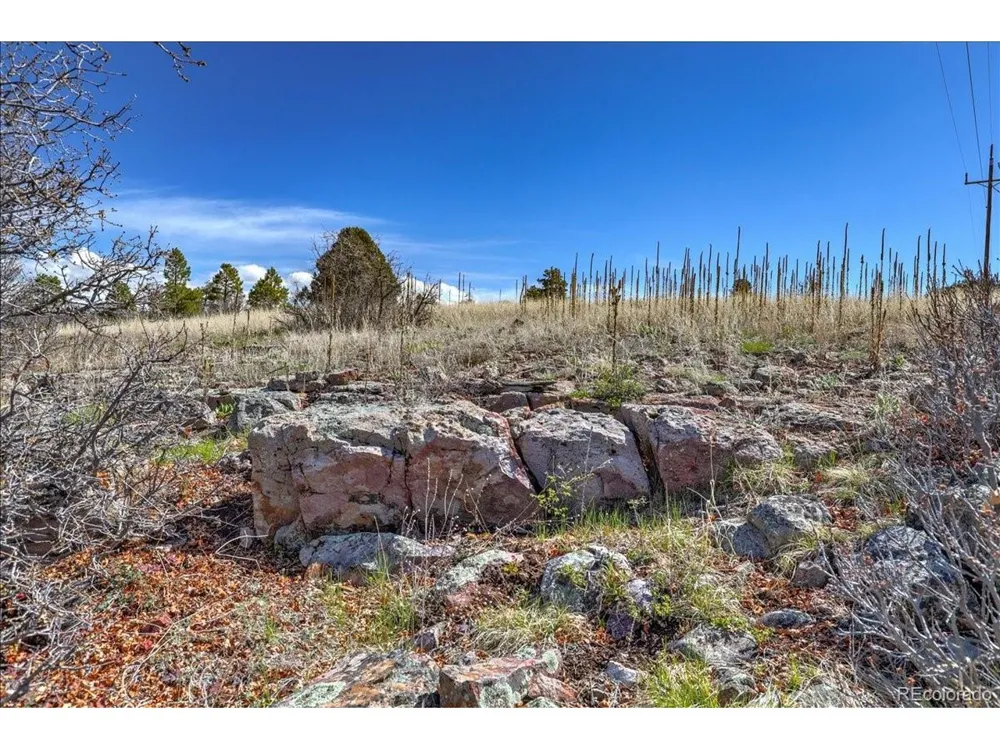 1234 Scenic Avenue Pagosa Springs, CO 81147