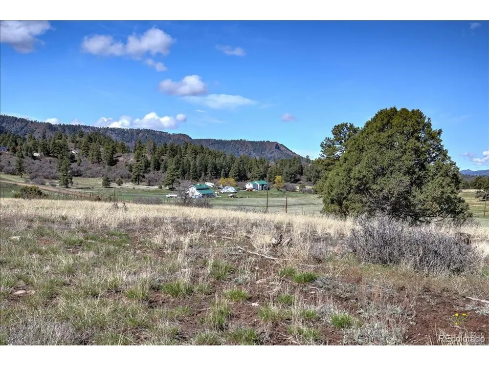 1234 Scenic Avenue Pagosa Springs, CO 81147