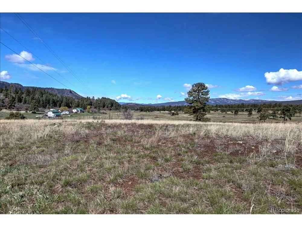 1234 Scenic Avenue Pagosa Springs, CO 81147