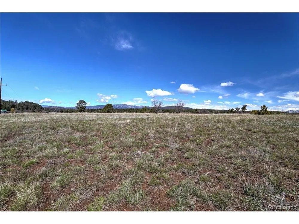 1234 Scenic Avenue Pagosa Springs, CO 81147