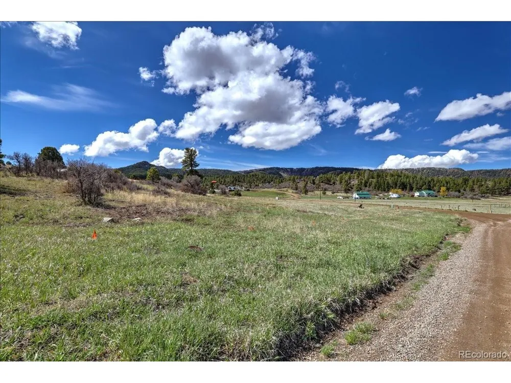1234 Scenic Avenue Pagosa Springs, CO 81147