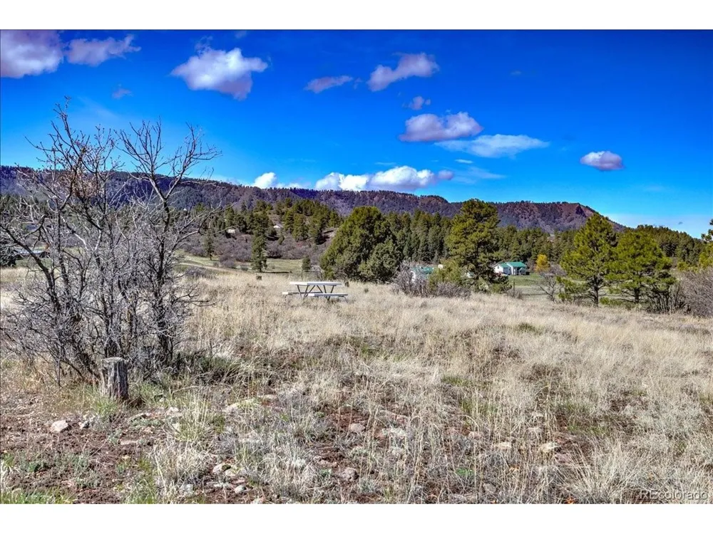 1234 Scenic Avenue Pagosa Springs, CO 81147