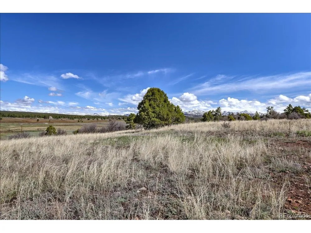 1234 Scenic Avenue Pagosa Springs, CO 81147