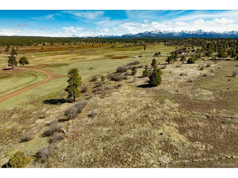 1234 Scenic Avenue Pagosa Springs, CO 81147