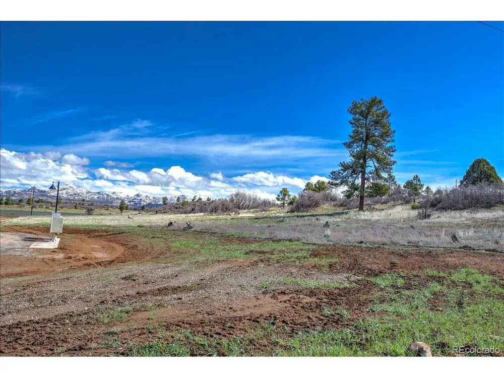 1234 Scenic Avenue Pagosa Springs, CO 81147