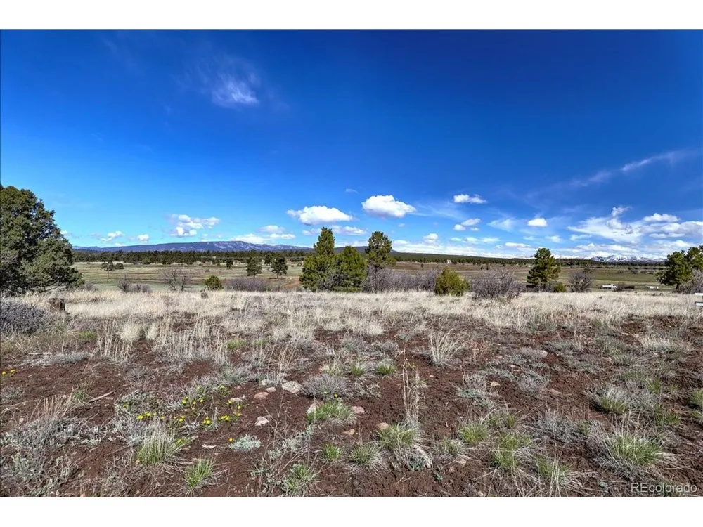 1234 Scenic Avenue Pagosa Springs, CO 81147