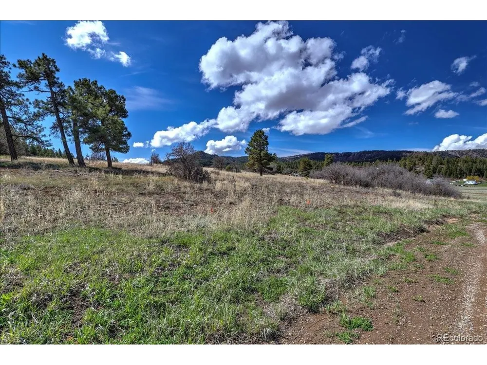 1234 Scenic Avenue Pagosa Springs, CO 81147