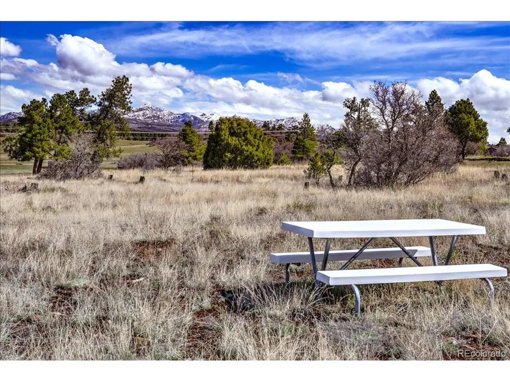 1234 Scenic Avenue Pagosa Springs, CO 81147
