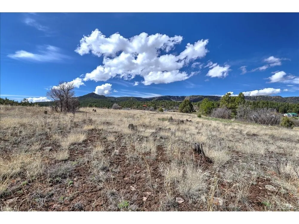 1234 Scenic Avenue Pagosa Springs, CO 81147
