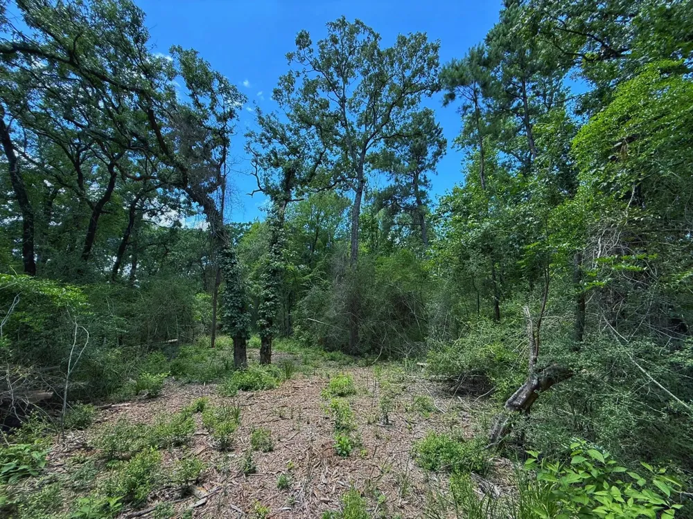 Cr 296 Oakwood, TX 75855