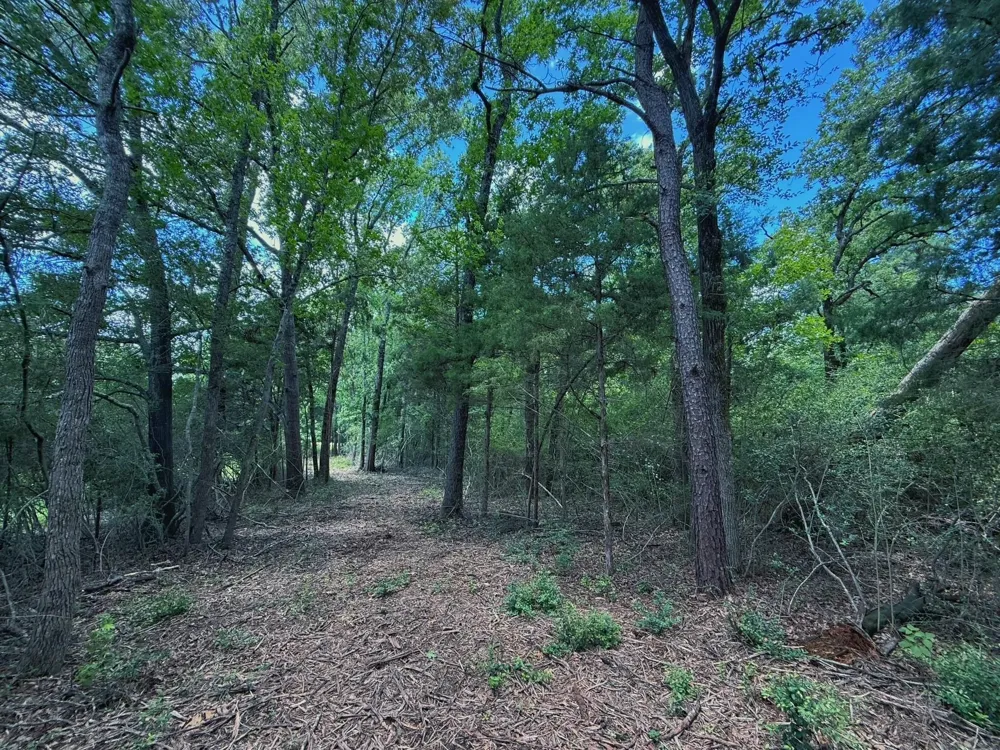 Cr 296 Oakwood, TX 75855