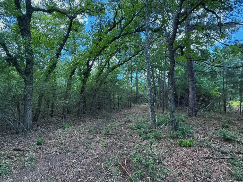 Cr 296 Oakwood, TX 75855