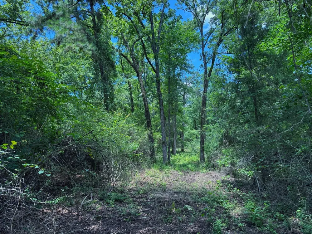Cr 296 Oakwood, TX 75855