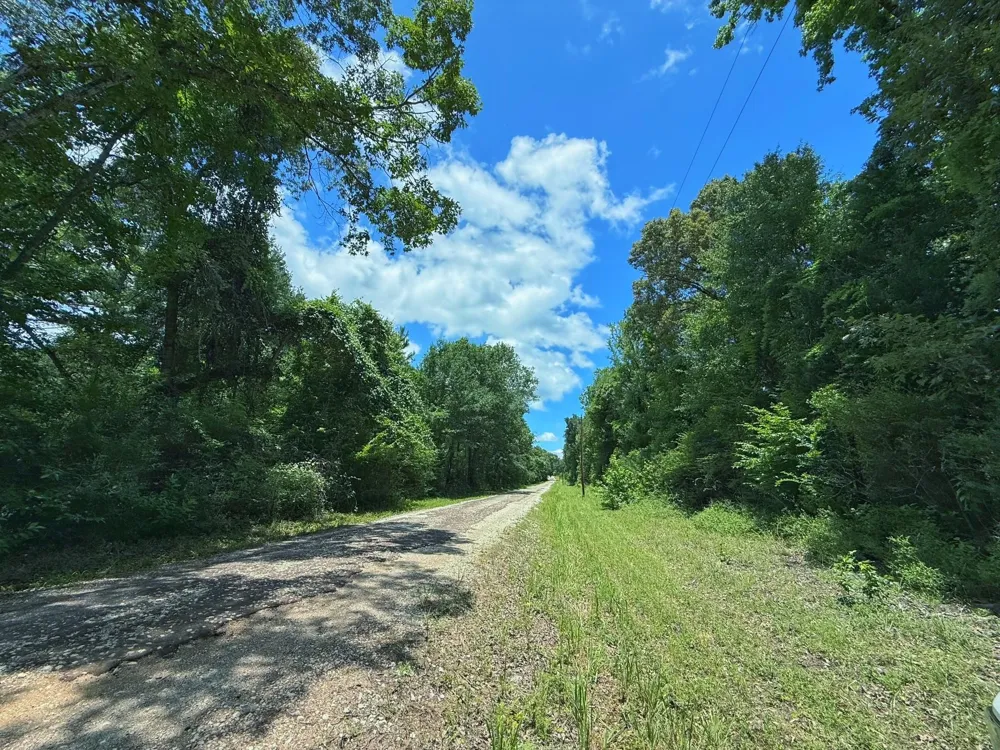 Cr 296 Oakwood, TX 75855