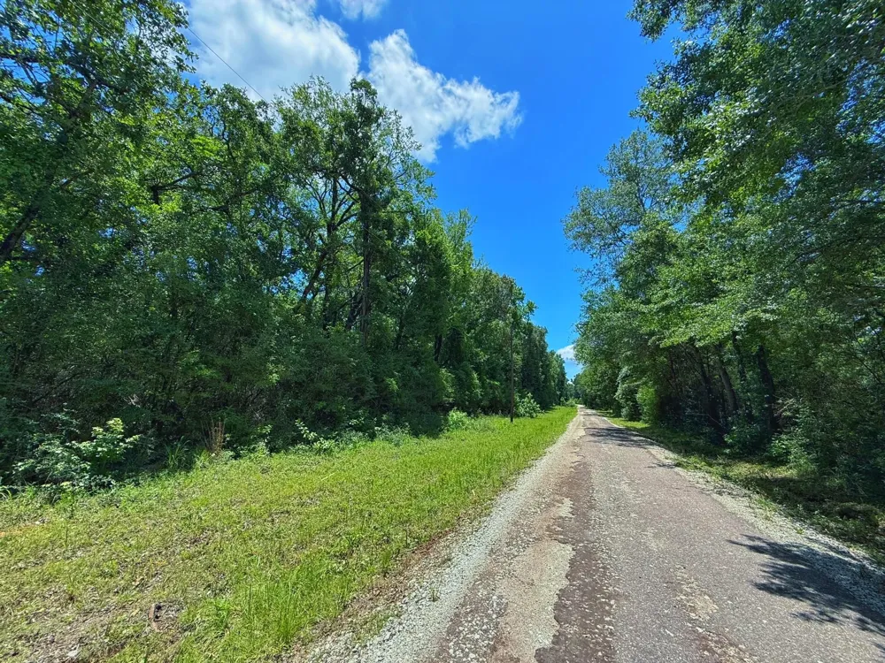 Cr 296 Oakwood, TX 75855