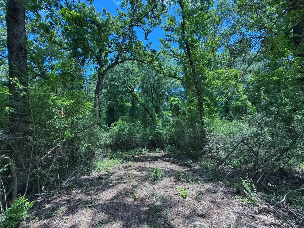 Cr 296 Oakwood, TX 75855