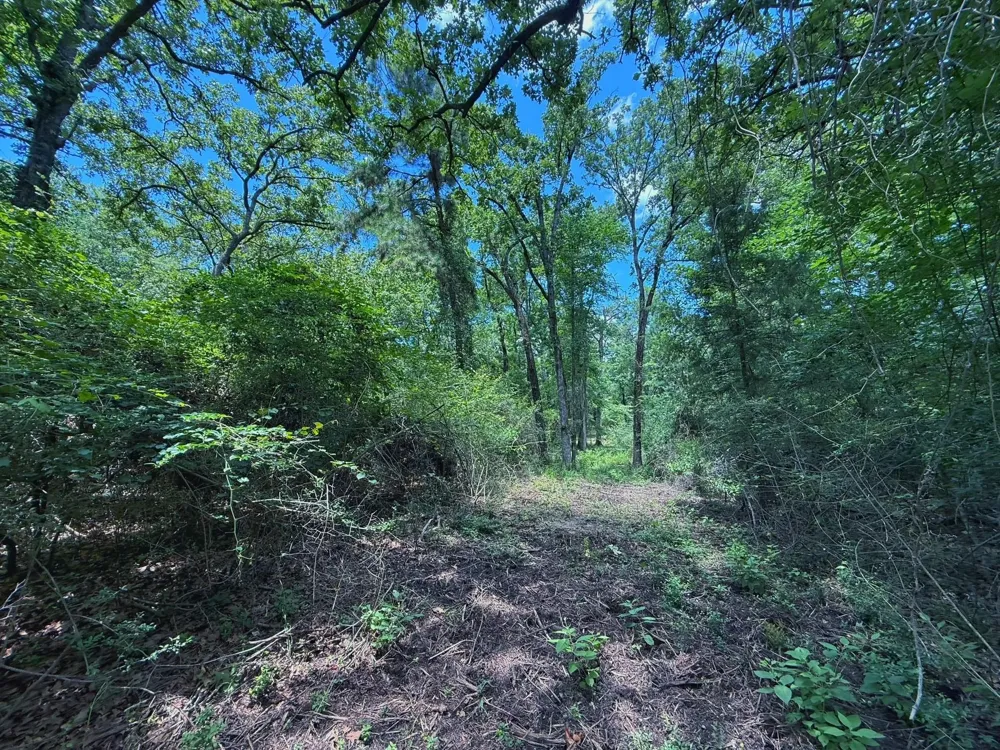 Cr 296 Oakwood, TX 75855