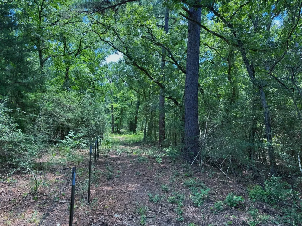 Cr 296 Oakwood, TX 75855
